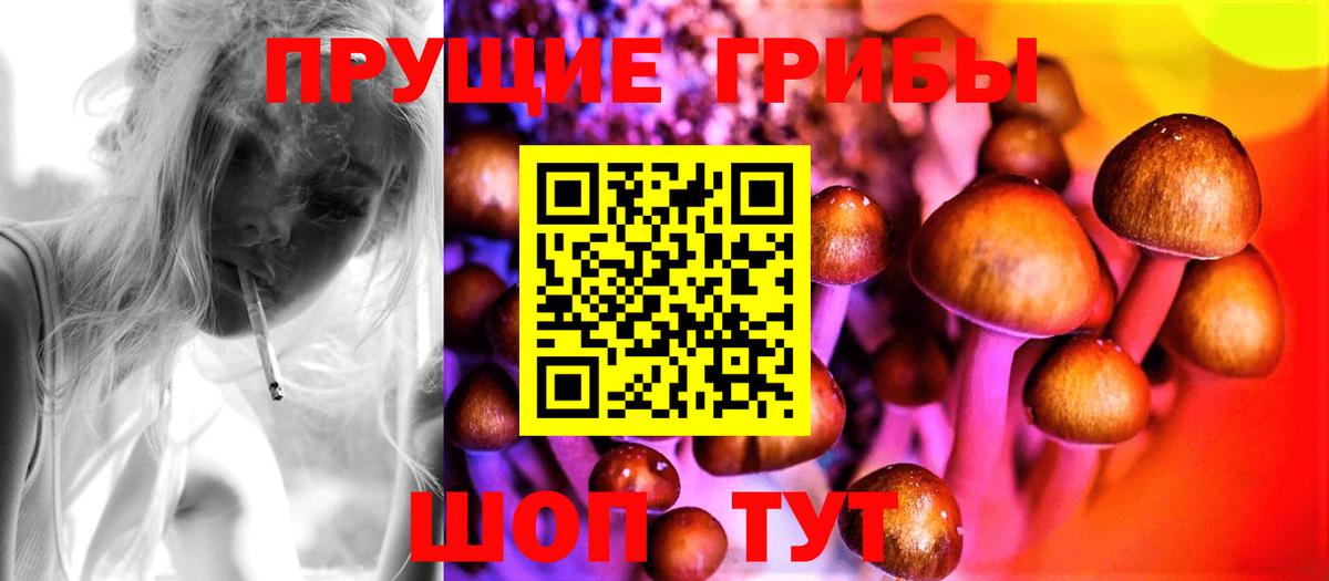 Галлюциногенные грибы мухоморы Заринск
