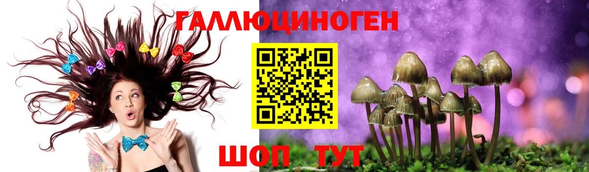 Заринск  Псилоцибиновые грибы прущие грибы  Вход с VPN 