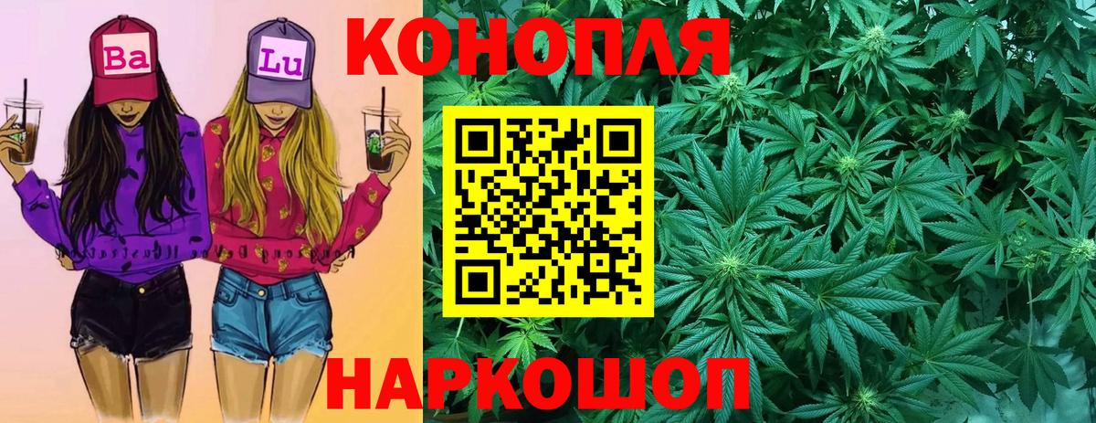Бошки марихуана сатива  Вход с VPN  Марихуана сатива  Заринск  Бошки Шишки план 